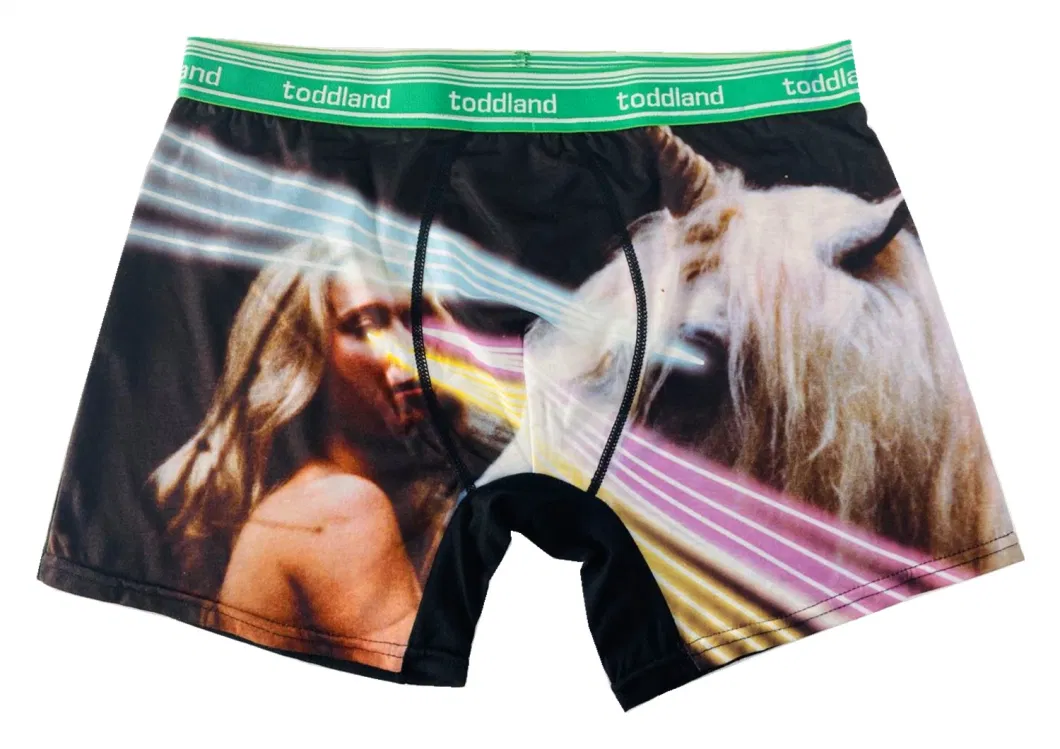 Laser Unicorns Sublimated Print Men′ S Knit Underpants, Underwear, Boxer Briefs, Undershorts